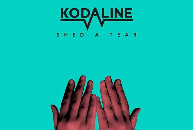 แปลเพลง Shed a Tear – Kodaline | เพลงไทย