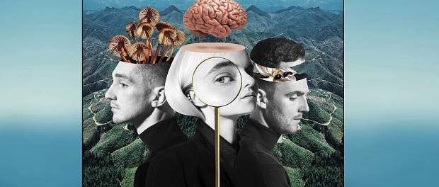 clean bandit