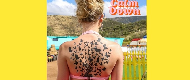 taylor-swift-you-need-to-calm-down