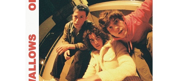 wallows