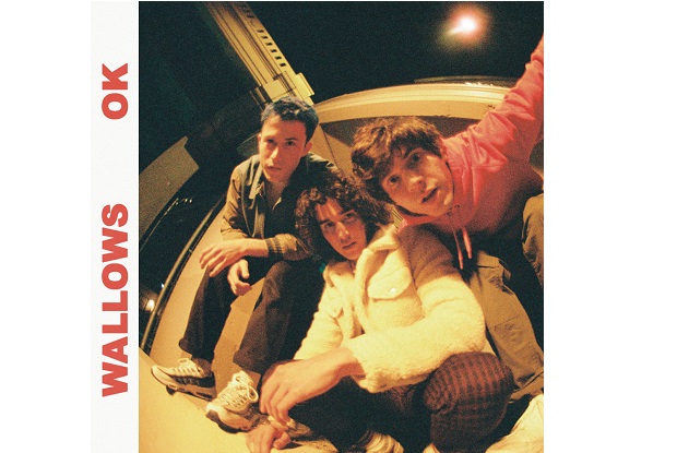 แปลเพลง OK – Wallows | แปลเพลง แปลเพลงสากล แปลเพลงภาษาอังกฤษ
