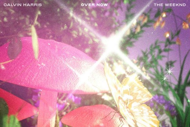 แปลเพลง Over Now – Calvin Harris & The Weeknd