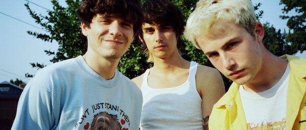 wallows