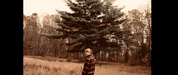 taylor