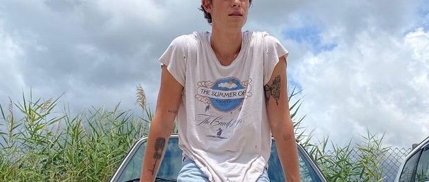 shawn mendes
