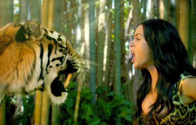 แปลเพลง Roar – Katy Perry