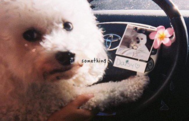 แปลเพลง Something – gnash | แปลเพลง แปลเพลงสากล แปลเพลงภาษาอังกฤษ