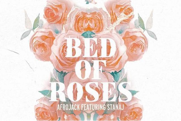 แปลเพลง Bed Of Roses – Afrojack feat. Stanaj