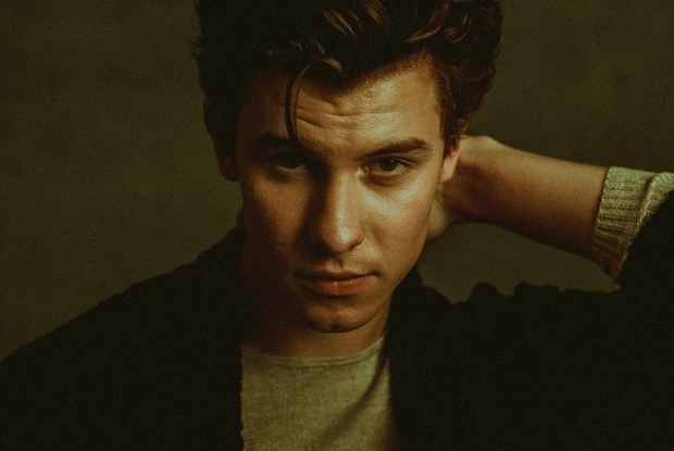 แปลเพลง In My Blood – Shawn Mendes