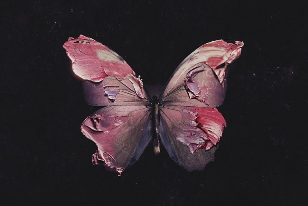 แปล เพลง when you say nothing at all